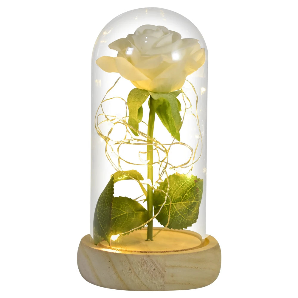 Gifts for Her Beauty and the Beast Eternal Rose in Glass Dome Artificial Forever Flower LED Light Mothers Day Gifts for Women